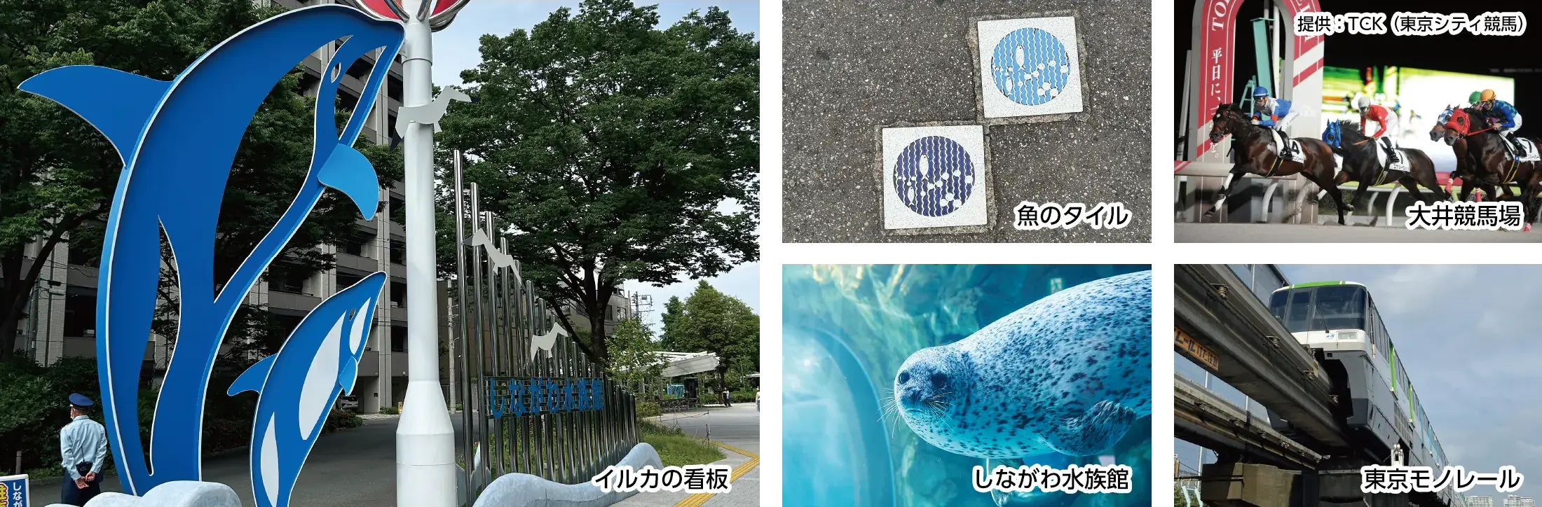 海風を感じながら進む大森海岸コース（約1.9km）