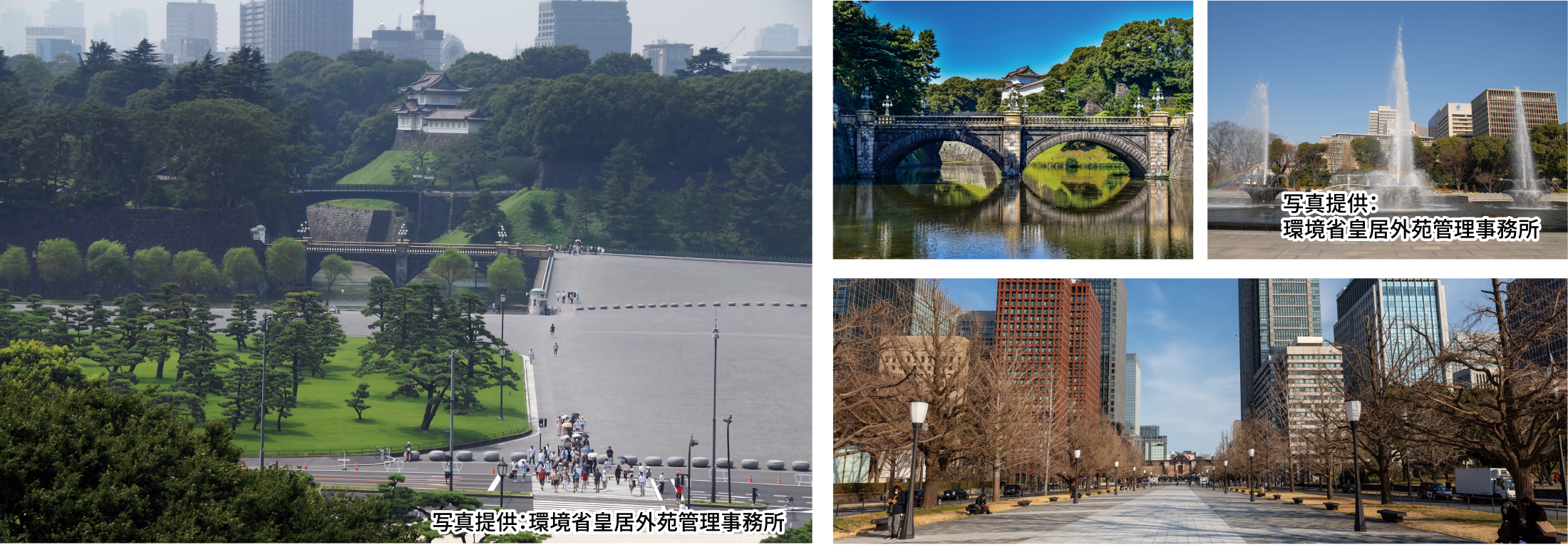 旧江戸城の史跡を巡る皇居外苑コース