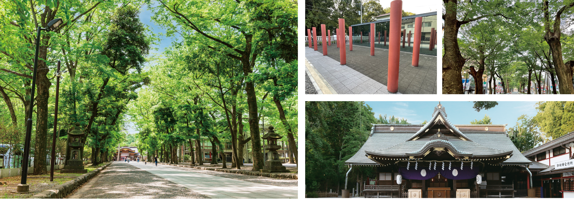 東京の自然・歴史を感じるFUCHUコース