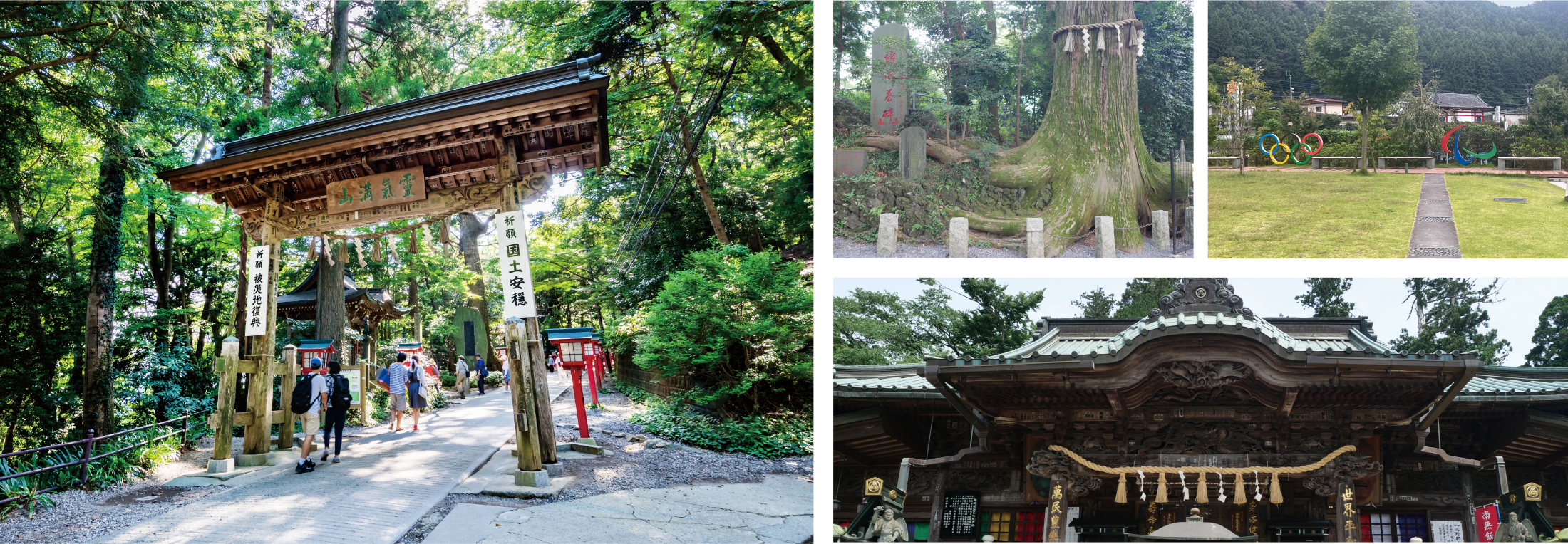 大自然に触れる高尾山コース