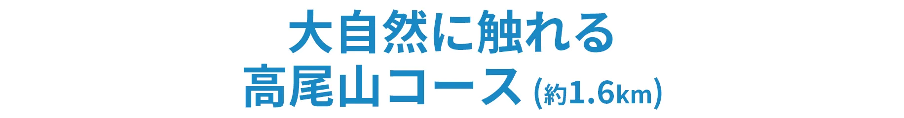 大自然に触れる高尾山コース